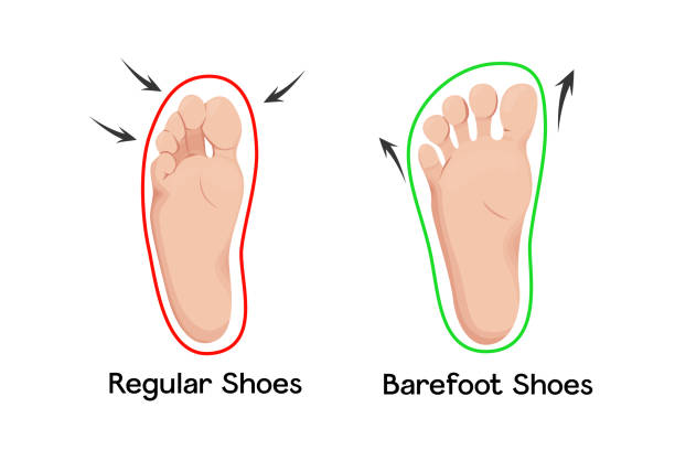 istock Orthopedic and anatomical shoes care vector illustration infographic. 1752299192
