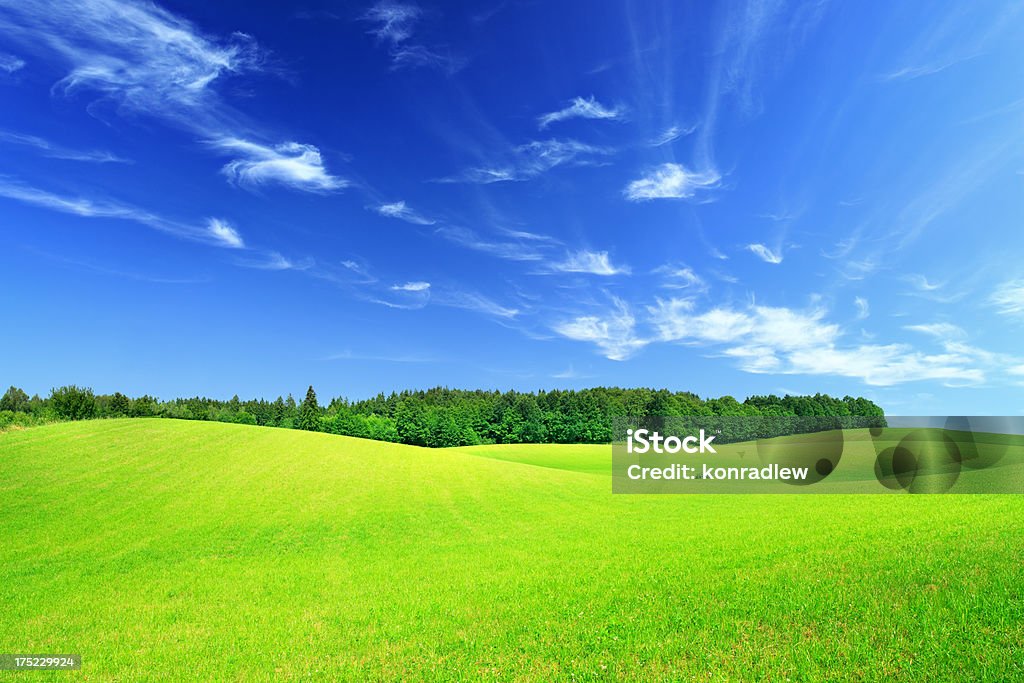 Sanfte Hügel und Täler-grüne Landschaft, Wiese - Lizenzfrei Agrarbetrieb Stock-Foto