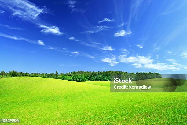 Sanfte Hügel Und Tälergrüne Landschaft Wiese Stockfoto und mehr Bilder von Agrarbetrieb - Agrarbetrieb, Anhöhe, Baum