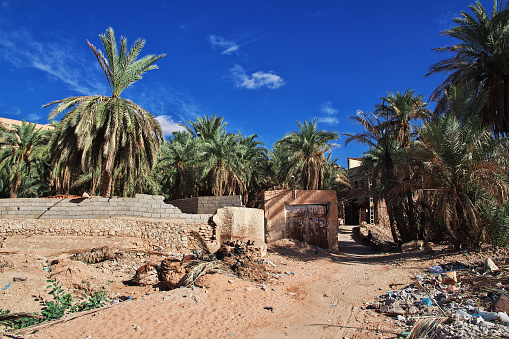 The street in Ghardaia city, Sahara desert, Algeria