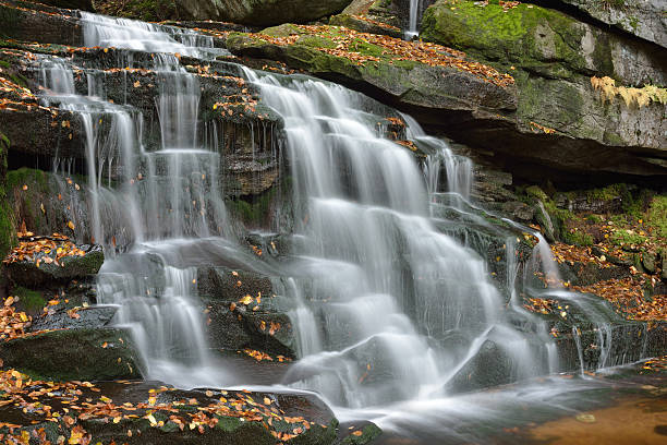 elakala 폴즈 - monongahela national forest landscapes nature waterfall 뉴스 사진 이미지