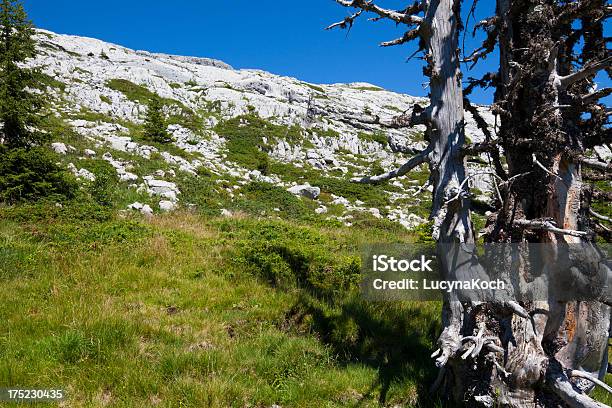 Paisaje De Los Alpes Foto de stock y más banco de imágenes de Aire libre - Aire libre, Alpes Bernese, Alpes Europeos