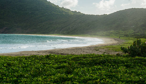istock scenic bay in lush mountainous setting 175230540