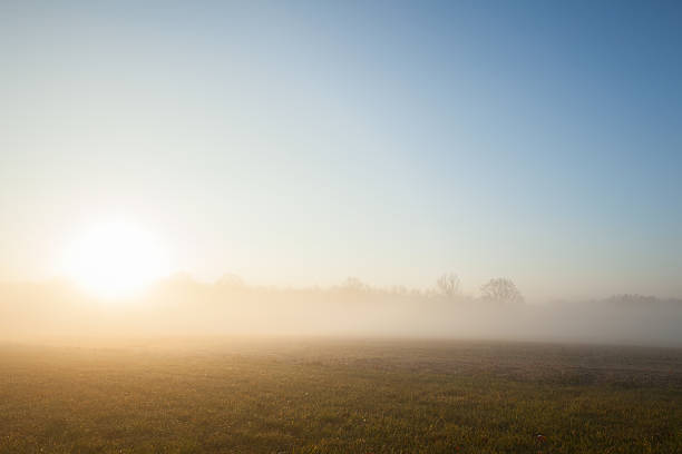 istock Misty Morning Sunrise 175231058