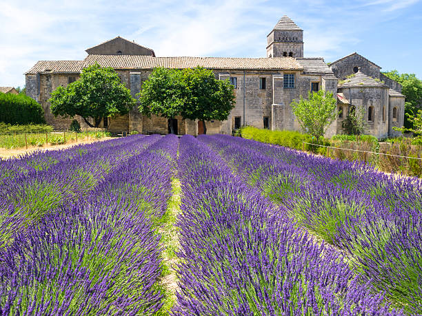 생폴 공제율 mausole 어사일럼 - st remy de provence 뉴스 사진 이미지