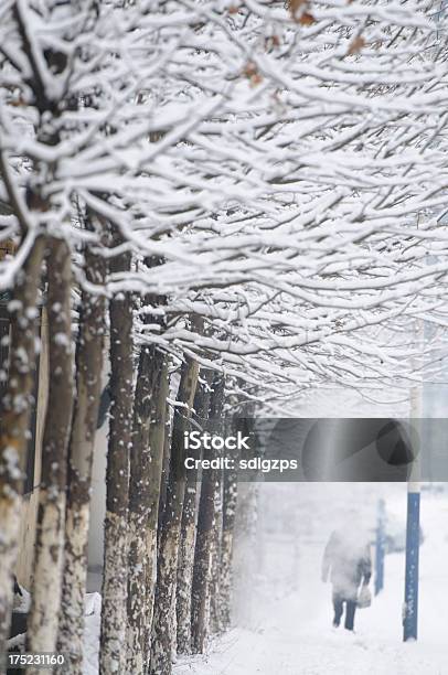 Paisagem De Inverno - Fotografias de stock e mais imagens de Inverno - Inverno, Tempestade, Ao Ar Livre