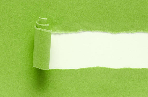 Green torn paper background textured isolated on white