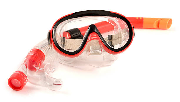 Snorkel and mask on a white background