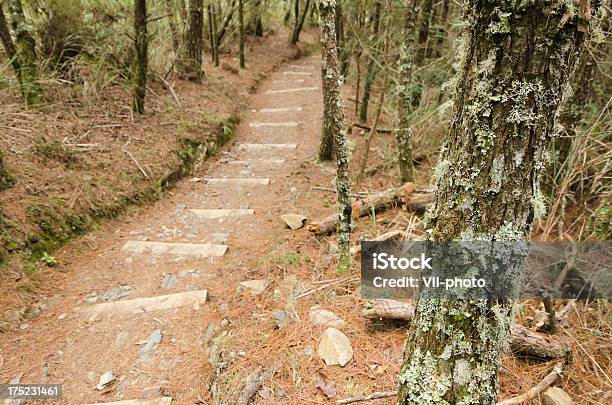 Foto de Caminho Ao Ar Livre e mais fotos de stock de Beco - Beco, Beleza natural - Natureza, Calçada