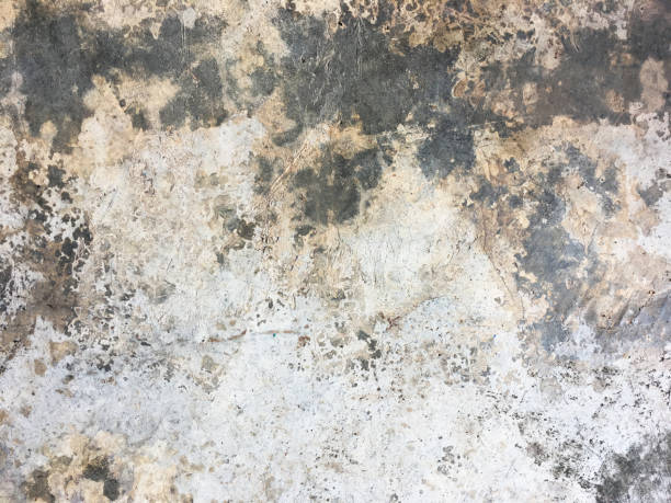 istock Old cement wall with crack monochrome background 1752314713