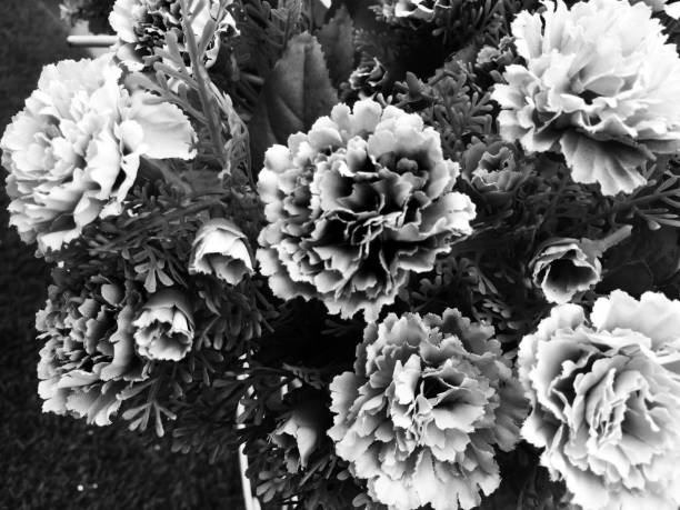 Fake  flower black and white color for background.