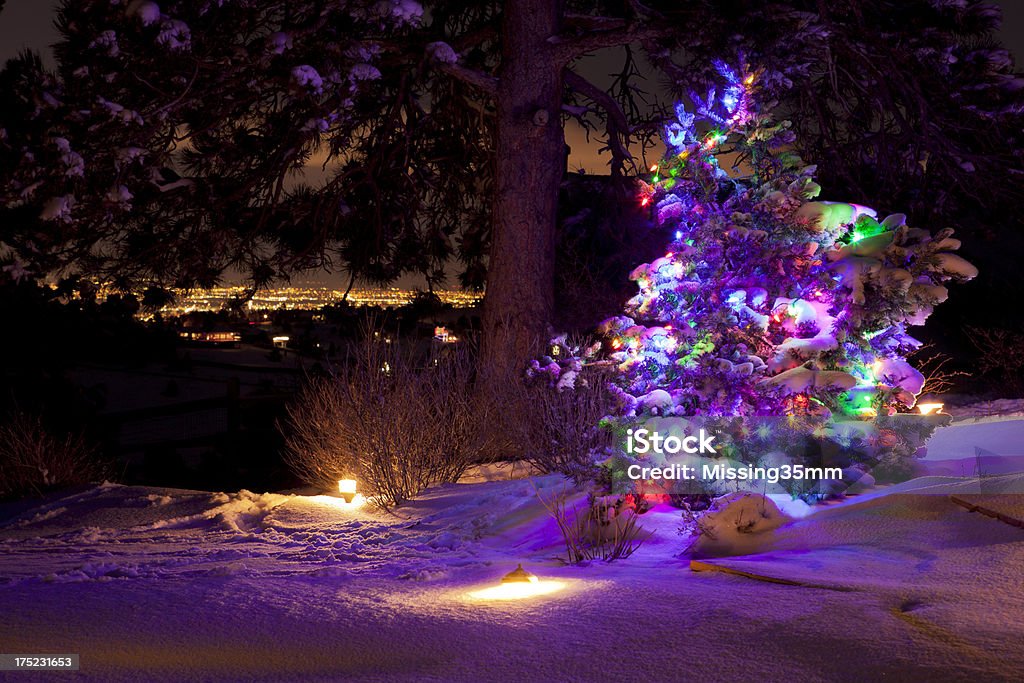 Arbre de Noël & les lumières de la ville - Photo de Denver libre de droits