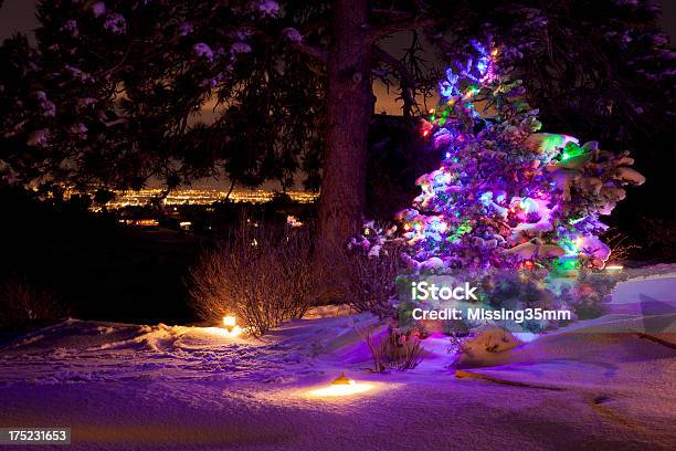 Photo libre de droit de Arbre De Noël Les Lumières De La Ville banque d'images et plus d'images libres de droit de Denver - Denver, Hiver, Nuit