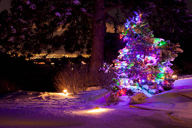 istock Christmas Tree & City Lights 175231653