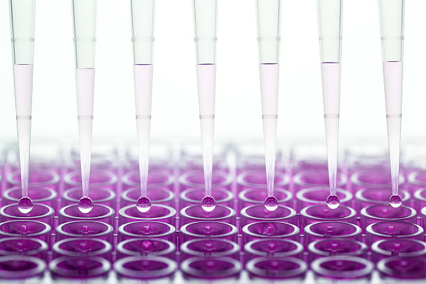 과학적 연구 - pcr device science research test tube 뉴스 사진 이미지