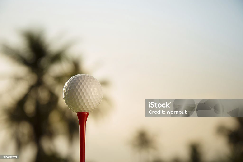 열대 골프는요 - 로열티 프리 골프공 스톡 사진