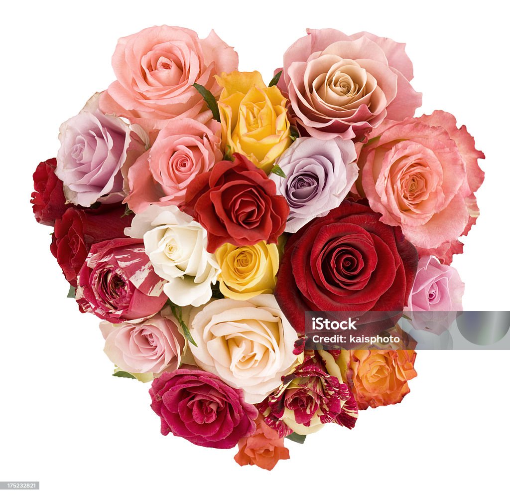 Magnifique bouquet de roses - Photo de Blanc libre de droits