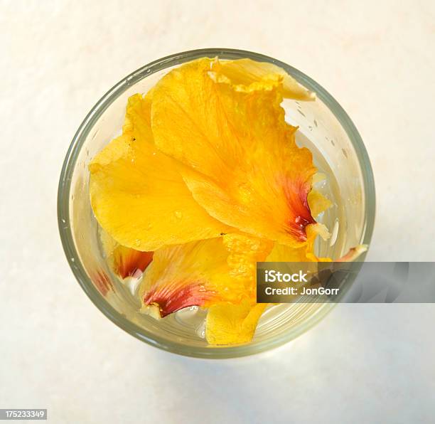 Gelbe Blütenblätter Im Wasser Glas Von Oben Stockfoto und mehr Bilder von Ansicht aus erhöhter Perspektive - Ansicht aus erhöhter Perspektive, Auf dem Wasser treiben, Blume