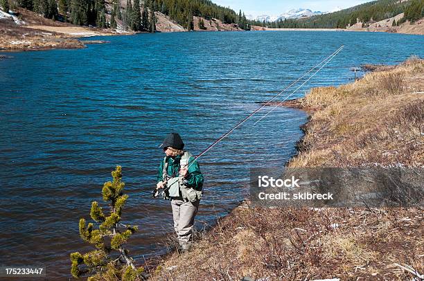 Fliegenfischen Im Winter Stockfoto und mehr Bilder von Aktivitäten und Sport - Aktivitäten und Sport, Colorado - Westliche Bundesstaaten der USA, Eine Frau allein