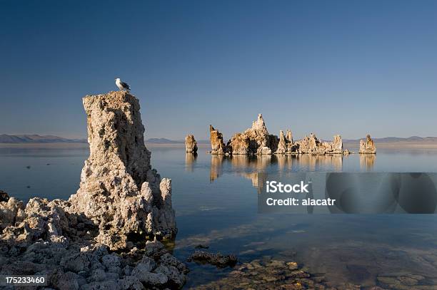 Foto de Mono Lake Califórnia e mais fotos de stock de Lago Mono - Lago Mono, Califórnia, Condado de Mono