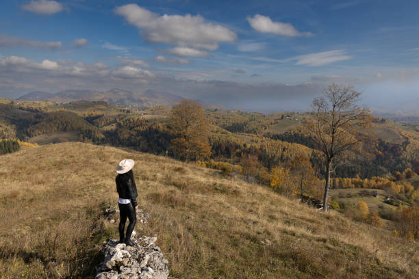 Rural scene in the Transylvania region