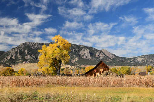 Boulder Colorado, USA -October 23, 2023: An Abandoned Barn sits outside Boulder Colorado. Wispy Cirrus clouds, Flatirons Rock Formations and Autumn Foliage create a Tranquil Rural Scene.