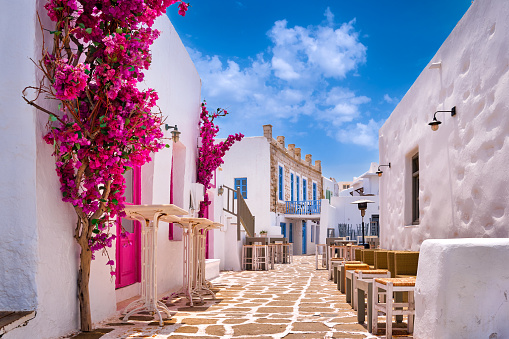 Beautiful street of Greek island town on sunny summer day. Whitewashed houses, stone pavement, pink bougainvillea in full blossom, tables and chairs of outdoor cafes and bars. Travel destination, Naoussa, Paros, Greece.