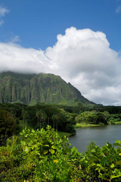 istock Botanic Garden in Oahu Hawaii 1752337350