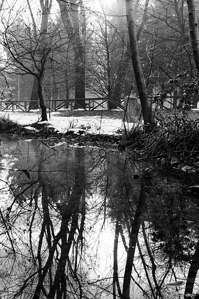 istock Park with Standing Water. Black and White 175233767