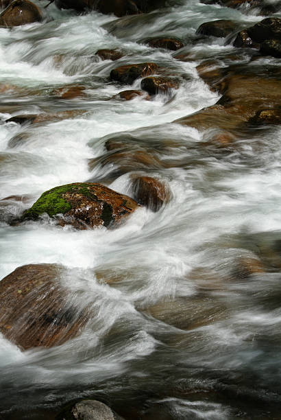istock River Cascades. Smoky Mountains Tennessee 175233771