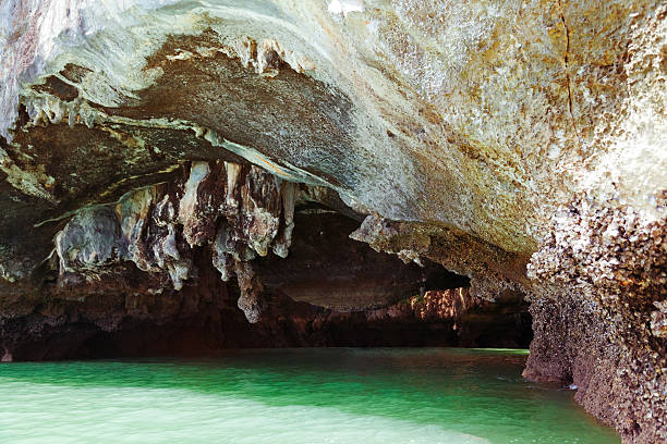 The Cave of Swallow bird's nest at Phi Phi. Famous bird's nest soup is made from these nests, it is a delicacy and it is very expensive.