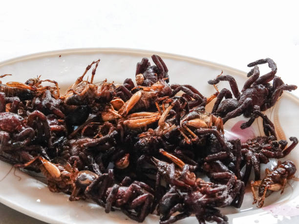 istock Serving plate with fried tarantulas and crickets. 1752337990
