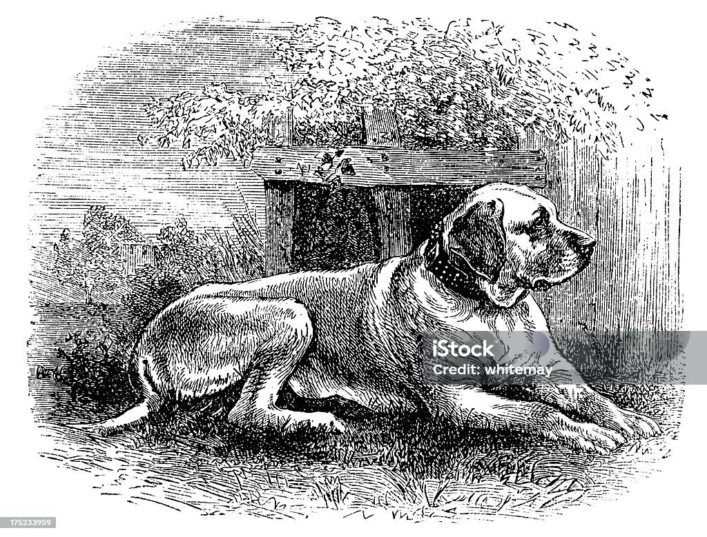 Mastino-incisione vittoriano - Illustrazione stock royalty-free di Cultura inglese