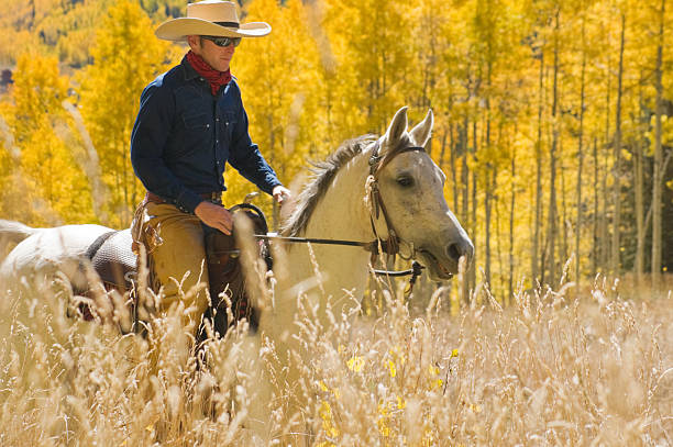 rocky mountain herbst reiten - cowboy blue meadow horizontal stock-fotos und bilder