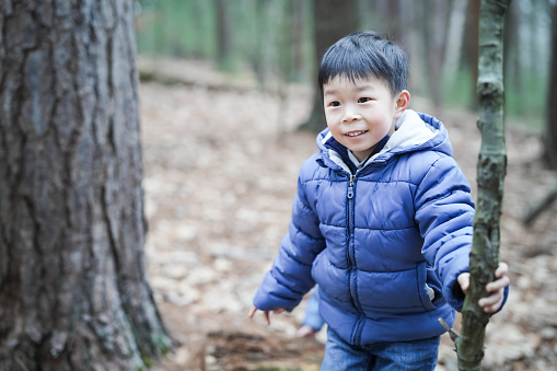 Little boy admiring treetops while wandering around the woods. Exploring the nature.