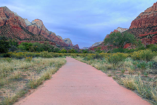 istock Footpath in Zion national park 175234931