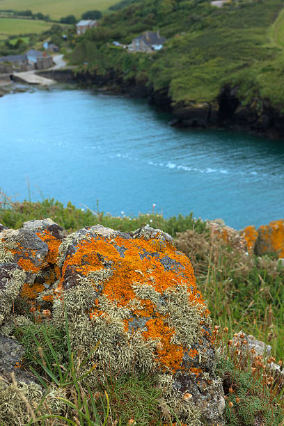 vista a la costa en port quin en cornwall - english quin fotografías e imágenes de stock