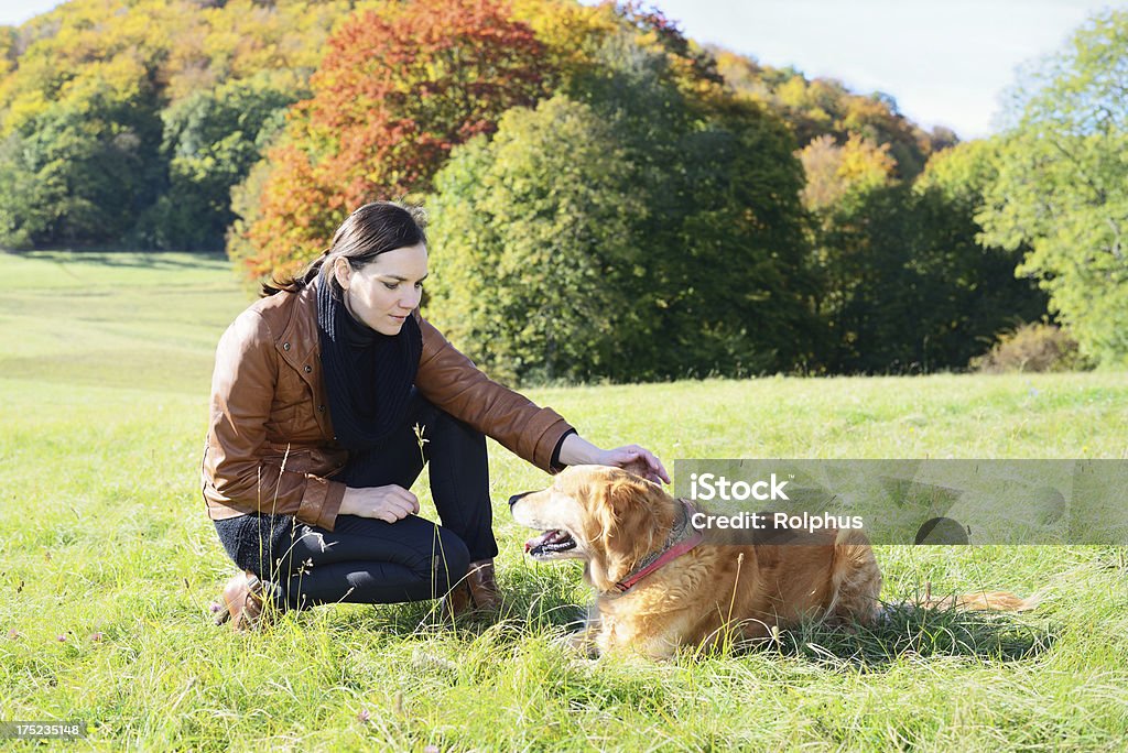 Брюнетка Женщина играет с собакой на открытом воздухе в Осень - Стоковые фото 35-39 лет роялти-фри