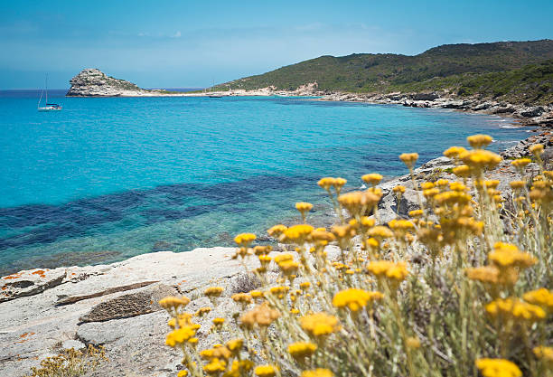Lotu Bay, Corsica France stock photo