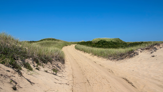 beach dunes trail