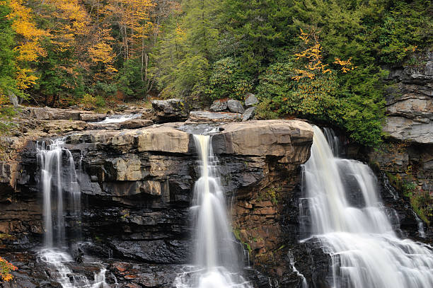 cataratas de blackwater - monongahela national forest landscapes nature waterfall fotografías e imágenes de stock