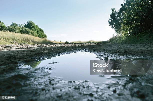 Muddy Puddle And Dirt Road Landscape Stock Photo - Download Image Now - Mud, Water, Low Angle View