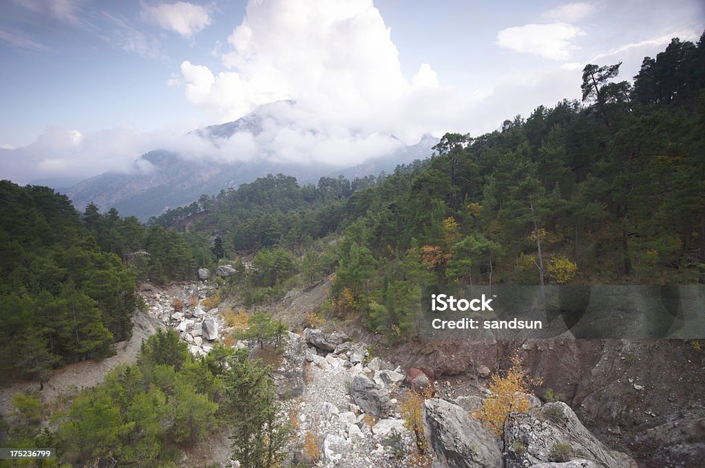 canyon selvaggio - Foto stock royalty-free di Acqua fluente