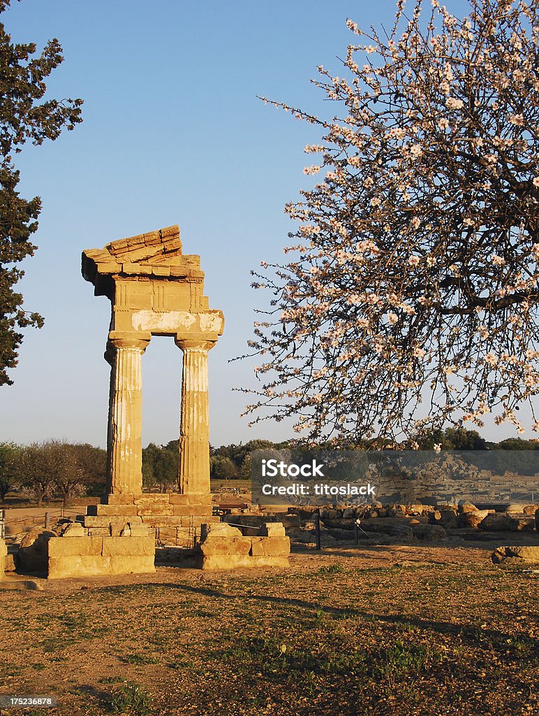 Храм сицилии Castor И Pollux - Стоковые фото Coastal Cypress роялти-фри