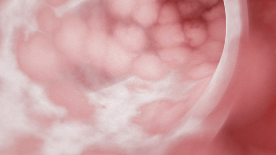 Pink abstract human internal membrane — concept