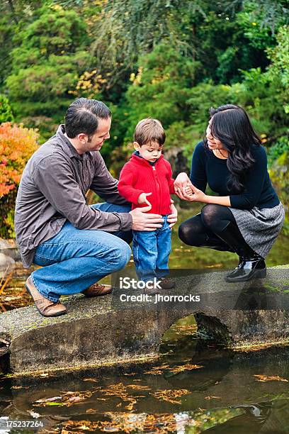 Family Watching Coy Fish At The Park Stock Photo - Download Image Now - Adult, Beautiful People, Beautiful Woman