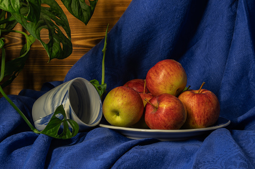 Still life with apples on a plate and empty mug.