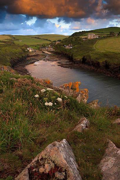 vista costeira em porto quin na cornualha - english quin imagens e fotografias de stock