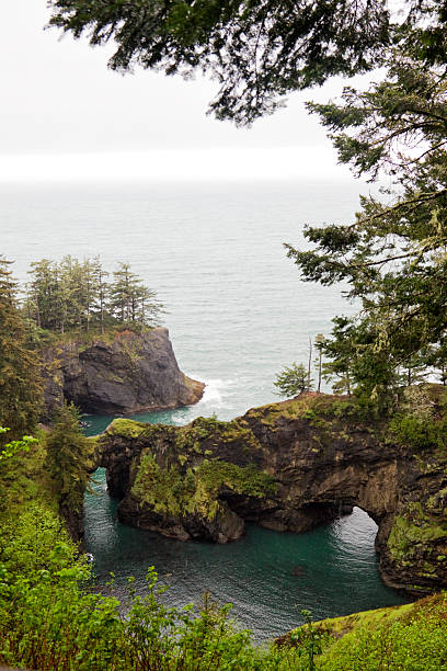 istock Natural Bridges on The Oregon Coast 175238492