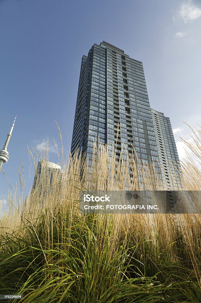 Toronto Apartament City - Zbiór zdjęć royalty-free (Architektura)